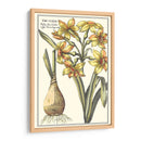 Belleza Botánica Iv - Vision Studio | Cuadro decorativo de Canvas Lab