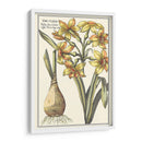 Belleza Botánica Iv - Vision Studio | Cuadro decorativo de Canvas Lab