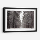 Un Paseo Nevado Iv - James McLoughlin | Cuadro decorativo de Canvas Lab