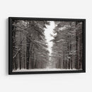 Un Paseo Nevado Iv - James McLoughlin | Cuadro decorativo de Canvas Lab