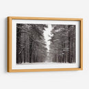 Un Paseo Nevado Iv - James McLoughlin | Cuadro decorativo de Canvas Lab