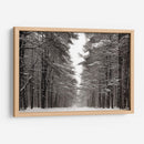 Un Paseo Nevado Iv - James McLoughlin | Cuadro decorativo de Canvas Lab