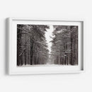 Un Paseo Nevado Iv - James McLoughlin | Cuadro decorativo de Canvas Lab