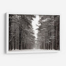 Un Paseo Nevado Iv - James McLoughlin | Cuadro decorativo de Canvas Lab