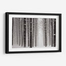 Un Paseo Nevado V - James McLoughlin | Cuadro decorativo de Canvas Lab