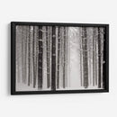 Un Paseo Nevado V - James McLoughlin | Cuadro decorativo de Canvas Lab