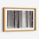 Un Paseo Nevado V - James McLoughlin | Cuadro decorativo de Canvas Lab