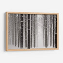 Un Paseo Nevado V - James McLoughlin | Cuadro decorativo de Canvas Lab