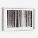 Un Paseo Nevado V - James McLoughlin | Cuadro decorativo de Canvas Lab