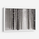 Un Paseo Nevado V - James McLoughlin | Cuadro decorativo de Canvas Lab