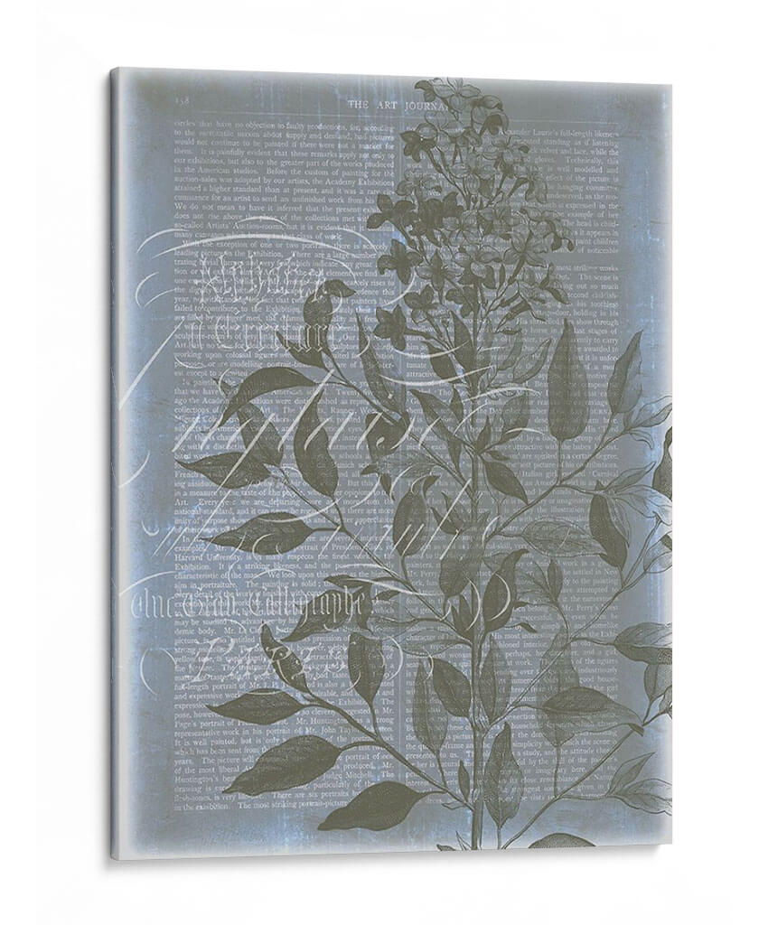 Fleur De Bleu I - Jennifer Goldberger | Cuadro decorativo de Canvas Lab