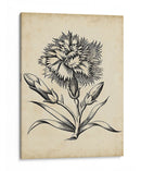 Distinguido Floral Iii - Vision Studio | Cuadro decorativo de Canvas Lab