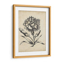 Distinguido Floral Iii - Vision Studio | Cuadro decorativo de Canvas Lab