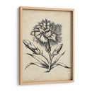 Distinguido Floral Iii - Vision Studio | Cuadro decorativo de Canvas Lab