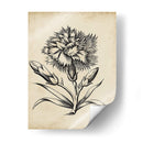 Distinguido Floral Iii - Vision Studio | Cuadro decorativo de Canvas Lab