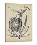 Distinguido Floral Iv - Vision Studio | Cuadro decorativo de Canvas Lab