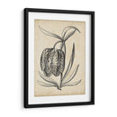 Distinguido Floral Iv - Vision Studio | Cuadro decorativo de Canvas Lab