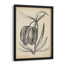 Distinguido Floral Iv - Vision Studio | Cuadro decorativo de Canvas Lab