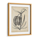 Distinguido Floral Iv - Vision Studio | Cuadro decorativo de Canvas Lab