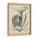 Distinguido Floral Iv - Vision Studio | Cuadro decorativo de Canvas Lab