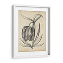 Distinguido Floral Iv - Vision Studio | Cuadro decorativo de Canvas Lab