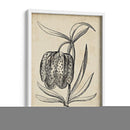 Distinguido Floral Iv - Vision Studio | Cuadro decorativo de Canvas Lab