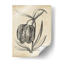 Distinguido Floral Iv - Vision Studio | Cuadro decorativo de Canvas Lab