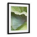 Hoja De Plátano I - Alison Jerry | Cuadro decorativo de Canvas Lab