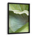 Hoja De Plátano I - Alison Jerry | Cuadro decorativo de Canvas Lab