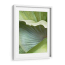 Hoja De Plátano I - Alison Jerry | Cuadro decorativo de Canvas Lab