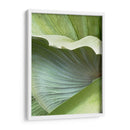 Hoja De Plátano I - Alison Jerry | Cuadro decorativo de Canvas Lab