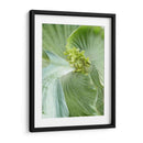 Hoja De Plátano Ii - Alison Jerry | Cuadro decorativo de Canvas Lab