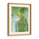 Hoja De Plátano Ii - Alison Jerry | Cuadro decorativo de Canvas Lab