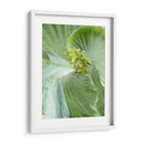 Hoja De Plátano Ii - Alison Jerry | Cuadro decorativo de Canvas Lab