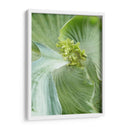 Hoja De Plátano Ii - Alison Jerry | Cuadro decorativo de Canvas Lab