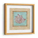 Shell Y Damask Ii - Rita Broughton | Cuadro decorativo de Canvas Lab