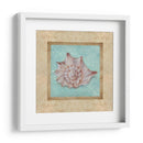 Shell Y Damask Ii - Rita Broughton | Cuadro decorativo de Canvas Lab