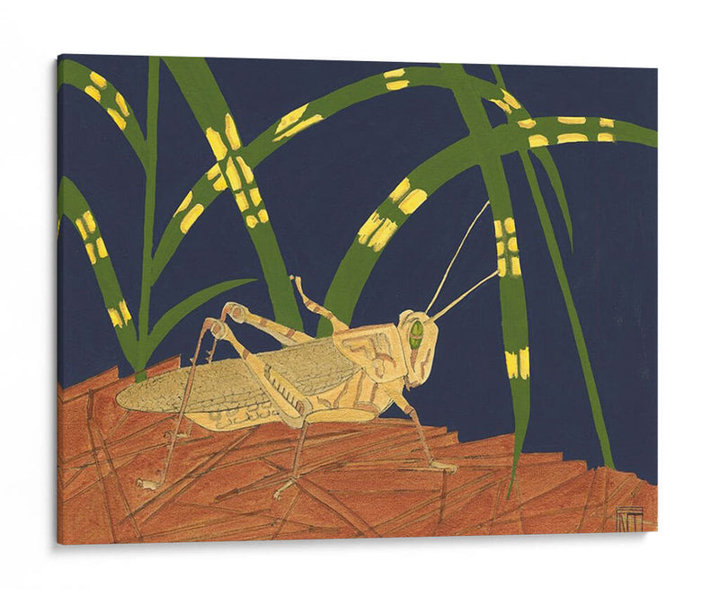 Saltamontes Ornamental I - Nina Tenser | Cuadro decorativo de Canvas Lab