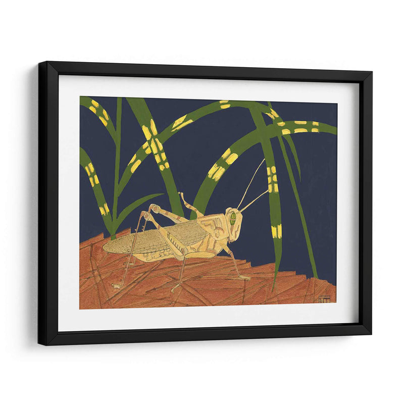 Saltamontes Ornamental I - Nina Tenser | Cuadro decorativo de Canvas Lab