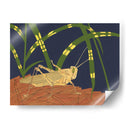 Saltamontes Ornamental I - Nina Tenser | Cuadro decorativo de Canvas Lab