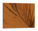 Impresión De Plumas Ii - Vision Studio | Cuadro decorativo de Canvas Lab