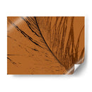 Impresión De Plumas Ii - Vision Studio | Cuadro decorativo de Canvas Lab