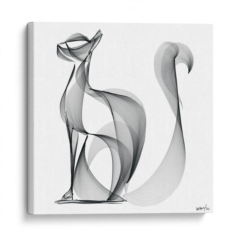 Gato atento - Gina Villalobos | Cuadro decorativo de Canvas Lab