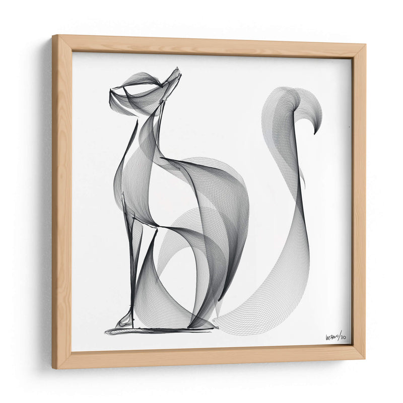 Gato atento - Gina Villalobos | Cuadro decorativo de Canvas Lab