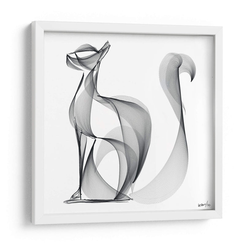 Gato atento - Gina Villalobos | Cuadro decorativo de Canvas Lab