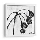 Mini Tulipanes De Desmayo I | Cuadro decorativo de Canvas Lab