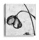 Mini Desmayos De Tulipanes Ii | Cuadro decorativo de Canvas Lab