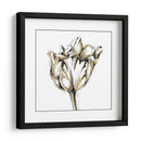 Boceto De Tulipán Pequeño I - Ethan Harper | Cuadro decorativo de Canvas Lab