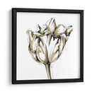Boceto De Tulipán Pequeño I - Ethan Harper | Cuadro decorativo de Canvas Lab