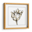 Boceto De Tulipán Pequeño I - Ethan Harper | Cuadro decorativo de Canvas Lab